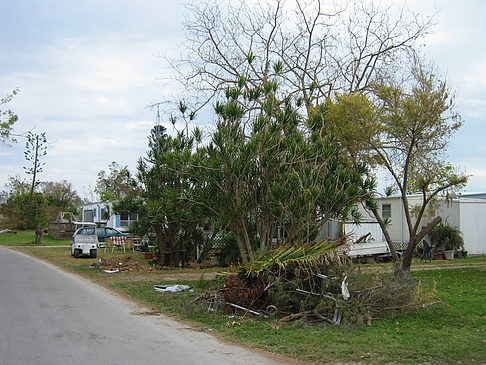 Foto Straßenrand