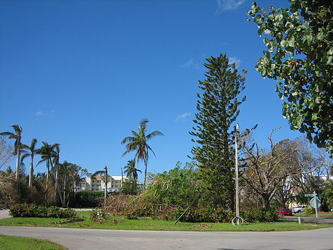 Fotos Straßenrand | 