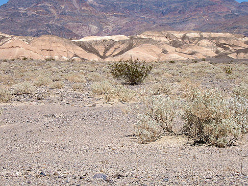 Foto Stovepipe Wells - Ubehebe Crater - 