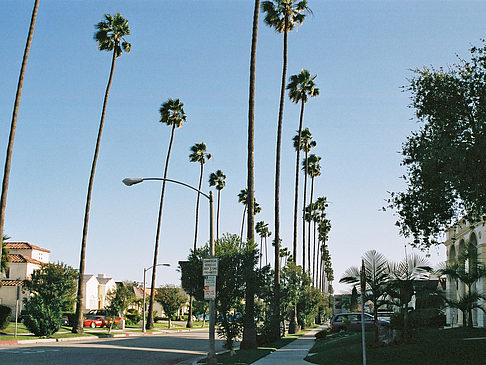 Beverly Hills