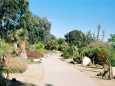 Balboa Park