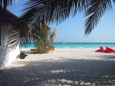 Der weiße Sandstrand der Malediven Fotos